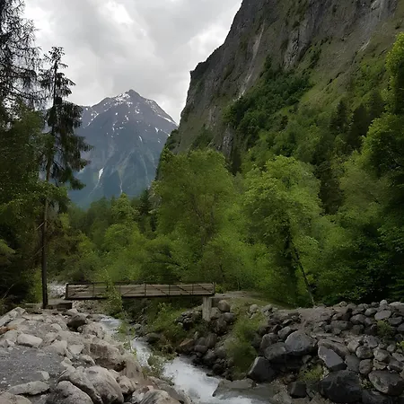 Les Lys Oranges Le Bourg-d'Oisans