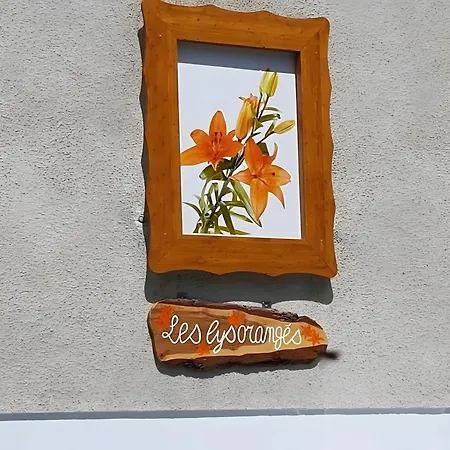 Apartment Les Lys Oranges